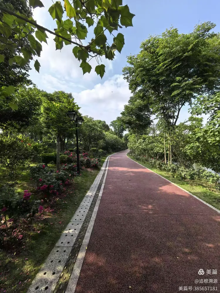 美丽的玉带河公园